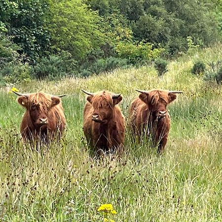 Ben Nevis Manor Bed & Breakfast Fort William Luaran gambar